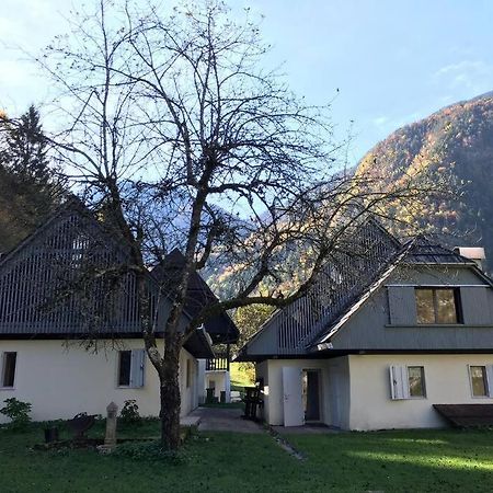 Soča Cozy Cottage In The Heart Of The Triglav National Park מראה חיצוני תמונה