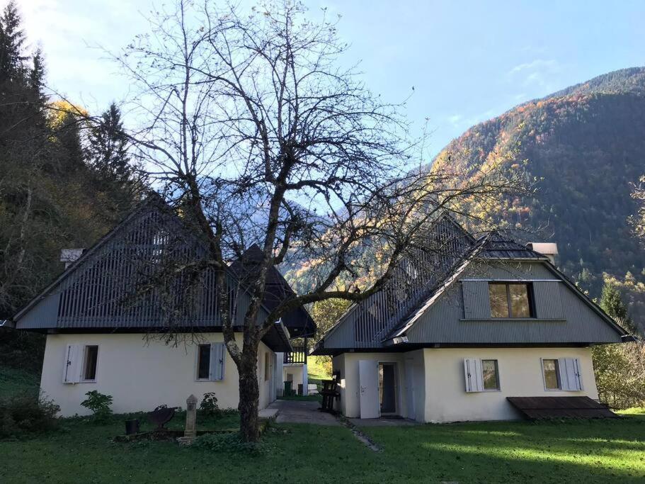 Soča Cozy Cottage In The Heart Of The Triglav National Park מראה חיצוני תמונה