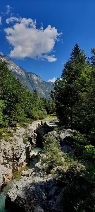 Soča Cozy Cottage In The Heart Of The Triglav National Park מראה חיצוני תמונה