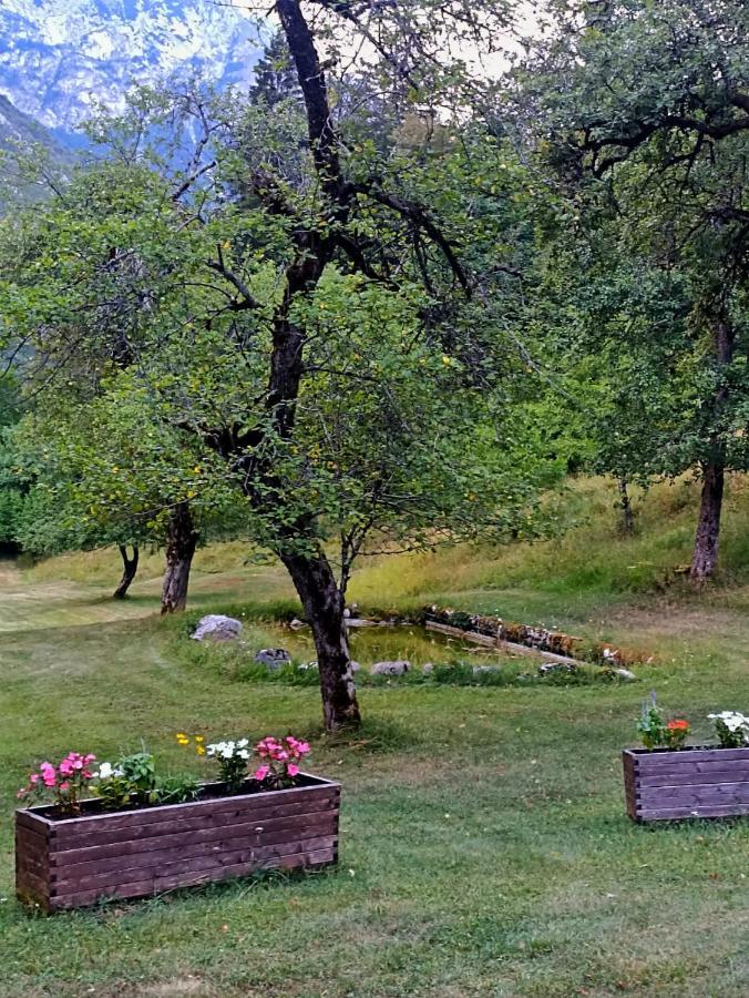 Soča Cozy Cottage In The Heart Of The Triglav National Park מראה חיצוני תמונה